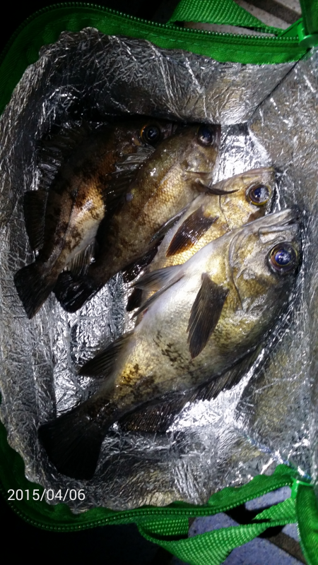 目の前に潮目が…