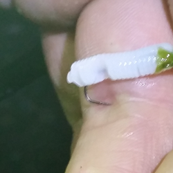 釣りビギナーメバルマスターです。泉南エリアランガン