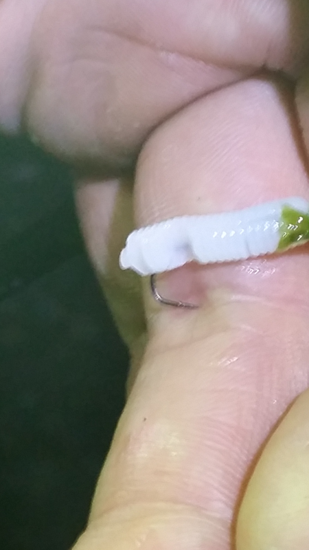 釣りビギナーメバルマスターです。泉南エリア…