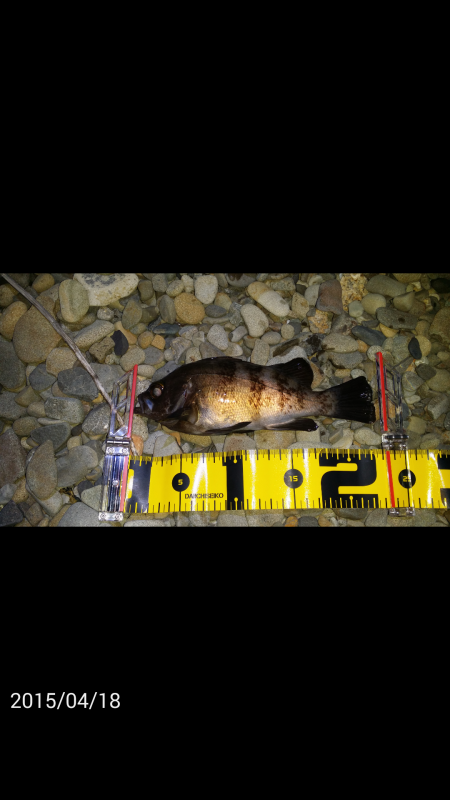 泉南エリアメバリング