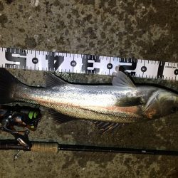 寒い…オマケに雨まで…