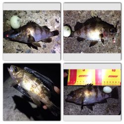 東二見でMebaring