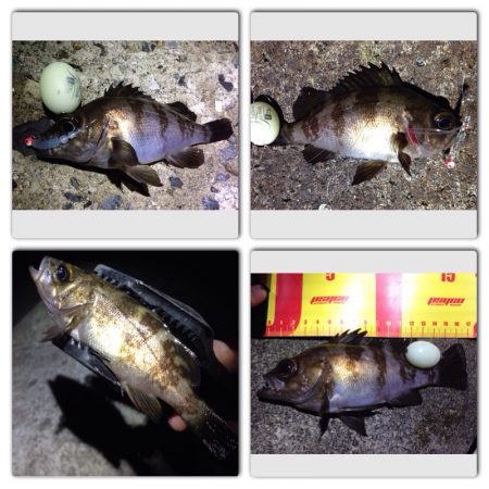 東二見でMebaring