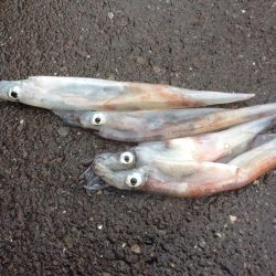 まだ冬なのか？！