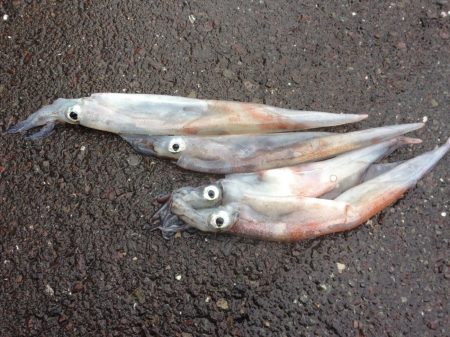 まだ冬なのか？！