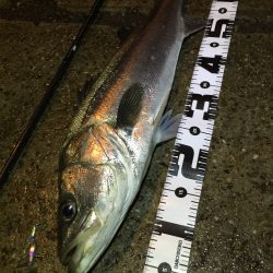 降りしきる雨の中…。