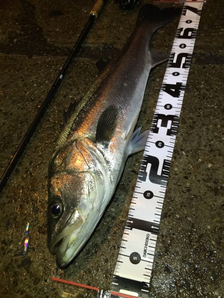 降りしきる雨の中…。