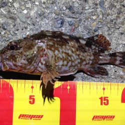 東二見人工島Mebaring