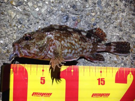 東二見人工島Mebaring