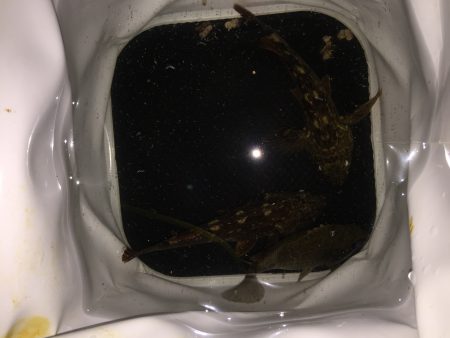 気をつけましょう(-_-)