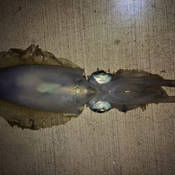 夜勤明けのfight！！