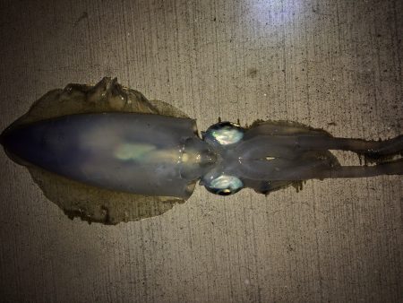 夜勤明けのfight！！