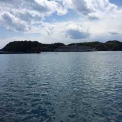 久しぶりの晴天