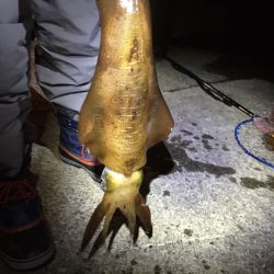 強風が吹き荒れる中…