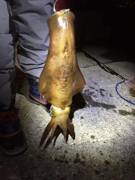 強風が吹き荒れる中…