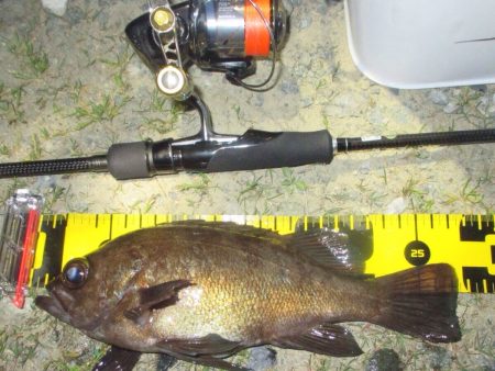 粘って粘って自己新！