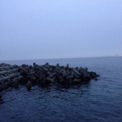 メバル調査 Vol.1