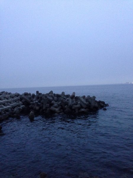 メバル調査 Vol.1