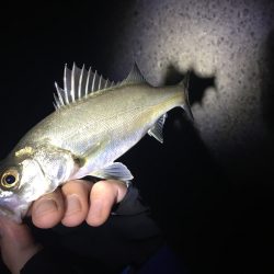 ストラクチャー