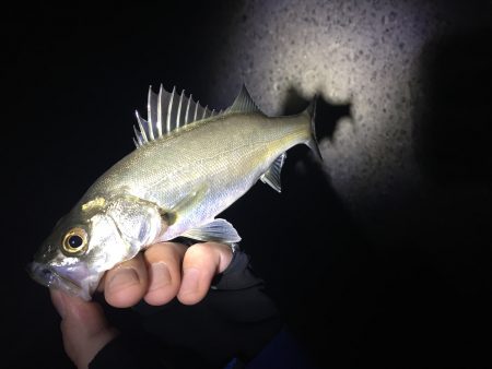 ストラクチャー