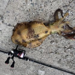 雨上がるも強風の中で価値ある一杯♪