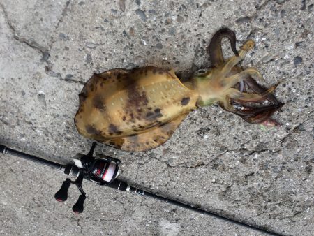 雨上がるも強風の中で価値ある一杯♪