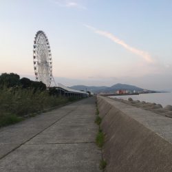 メバリングin淡路島