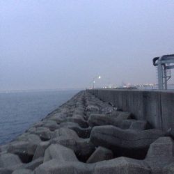 メバル調査 Vol.2