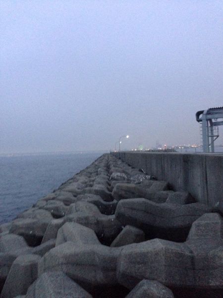 メバル調査 Vol.2