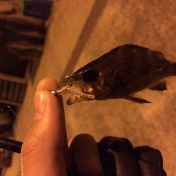 激渋の中頑張ってパターンを見つけました