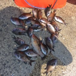 水温上がりました。