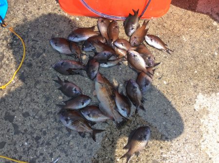 水温上がりました。