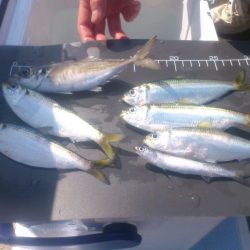 情報操作!? 踊らされた人々・・・