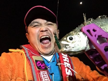 アジングラビット2015 その1