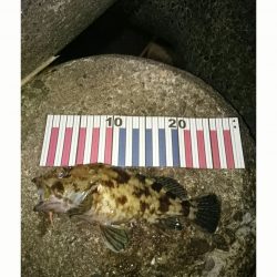 ナイスバディです。