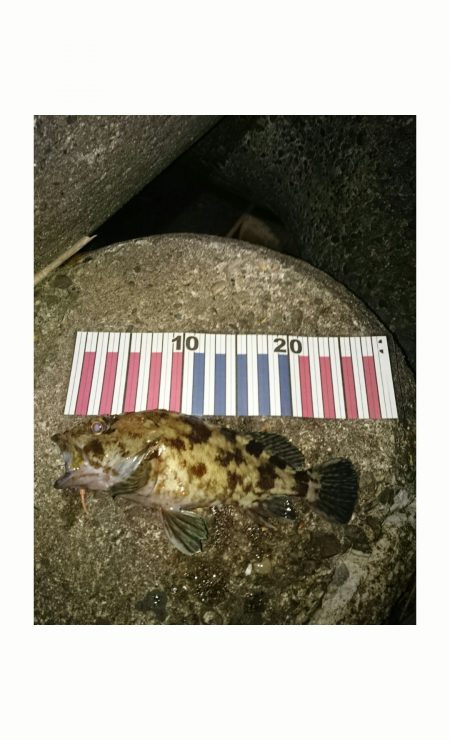 ナイスバディです。