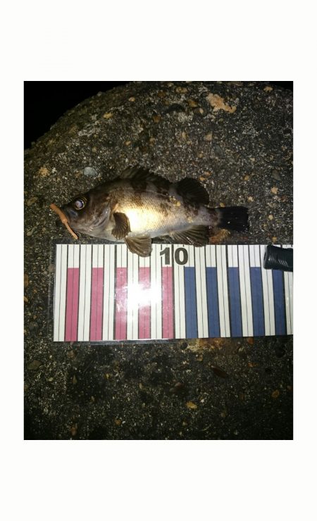 なが〜い沈黙。