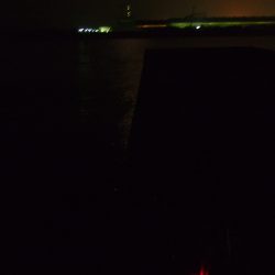１万トンでの夜釣り