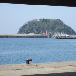 ガシラは釣れたが、アジねらいは撃沈。