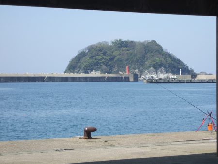 ガシラは釣れたが、アジねらいは撃沈。