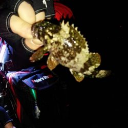 アタリがあるもののチビばかり