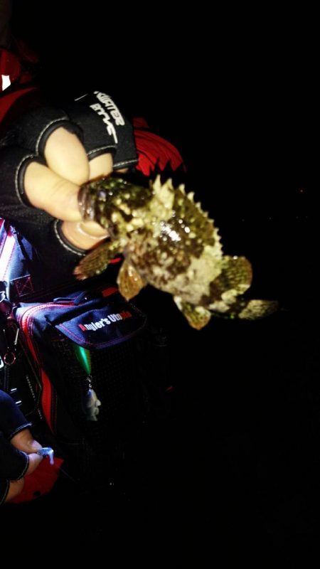 アタリがあるもののチビばかり