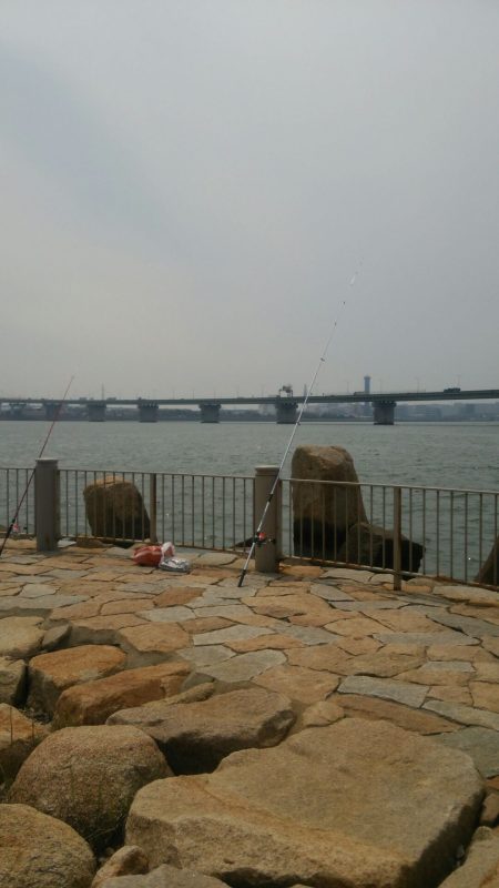 矢倉緑地　ぶっこみ釣り