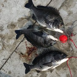 ようやく空港にも・・・