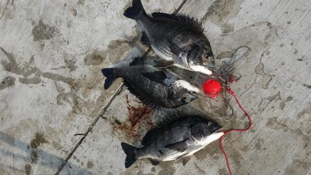 ようやく空港にも・・・