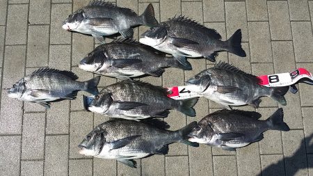 今日は3人でチヌ釣り！