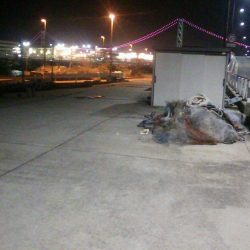 最近は小さいです