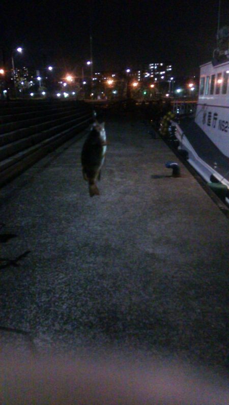 一時間フィッシング