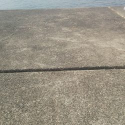 久しぶりの普通メバル