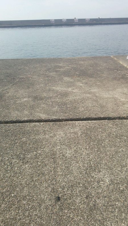 久しぶりの普通メバル